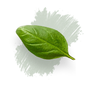 ingredient_01.png