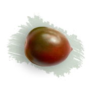 ingredient_03.png